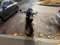 2017 Ducati Scrambler 800, чёрный, 650000 рублей - вид 2