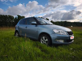 2011 Skoda Fabia II Рестайлинг, серый, 600000 рублей, вид 2