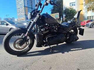 2018 Harley-Davidson Softail Standard, серый, 1017226 рублей, вид 2