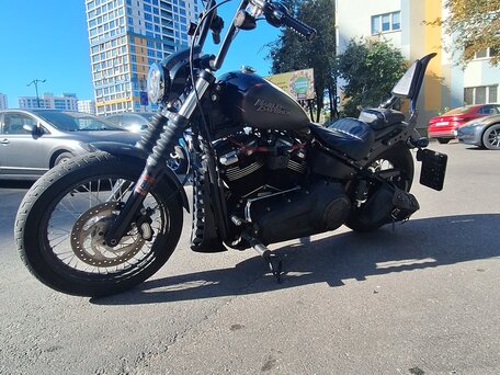 2018 Harley-Davidson Softail Standard, серый, 1016466 рублей, вид 2