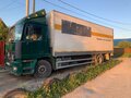 1998 Mercedes-Benz Actros, зелёный, 1300000 рублей - вид 4