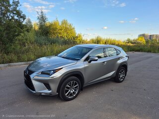2019 Lexus NX 200 I Рестайлинг, серый, 2900000 рублей, вид 1