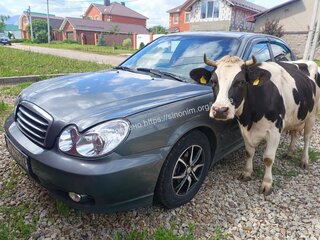 2005 Hyundai Sonata ТагАЗ IV (EF) Рестайлинг, серый, 330000 рублей, вид 1