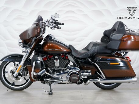 2018 Harley-Davidson CVO, коричневый, 2649000 рублей, вид 2