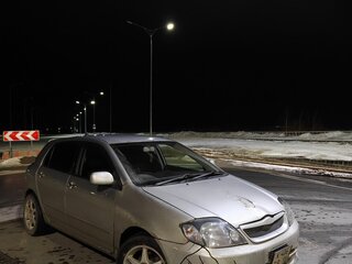 2002 Toyota Allex I, серебристый, 500000 рублей, вид 5