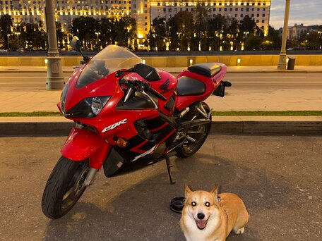 2001 Honda CBR 600F, красный, 460000 рублей, вид 2