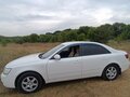 2010 Hyundai Sonata V (NF) Рестайлинг, белый, 620000 рублей - вид 5
