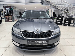 2014 Skoda Rapid I, серый, 799000 рублей, вид 2
