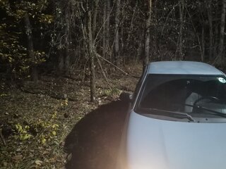 2005 Lada (ВАЗ) 2112, серебристый, 135000 рублей, вид 2