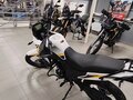 2026 Loncin MS250, белый, 179900 рублей - вид 8
