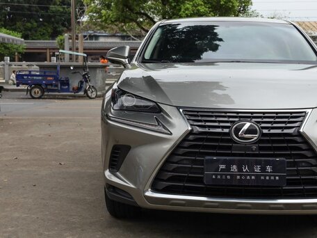2021 Lexus NX 200 I Рестайлинг, серый, 2420000 рублей, вид 5