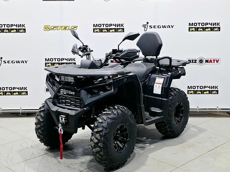 2026 Bizon YK250 LUX EFI, чёрный, 255000 рублей, вид 1