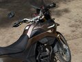 2019 Racer Panther, коричневый, 145000 рублей - вид 5