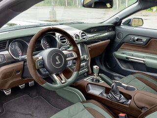 2017 Ford Mustang Shelby GT350 VI Рестайлинг, серый, 15000000 рублей, вид 4