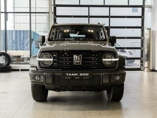 2026 Tank 300 I, серый, 4799000 рублей, вид 1