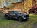 2022 Ford F-150 XIV, серый - вид 6