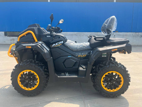 2026 Другие ATV (другие), чёрный, 650000 рублей, вид 4