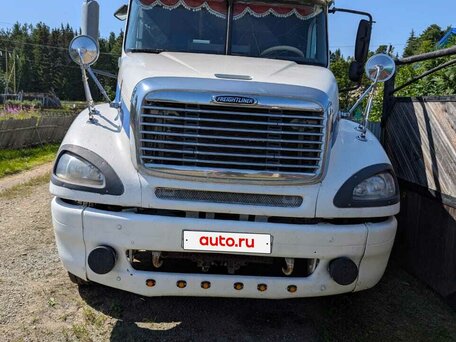 2002 Freightliner Columbia, белый, 1300000 рублей, вид 2
