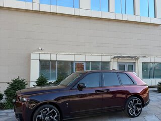 2019 Rolls-Royce Cullinan I (Series I), чёрный, 24500000 рублей, вид 4