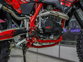 2026 BSE Z10, красный, 206400 рублей - вид 3