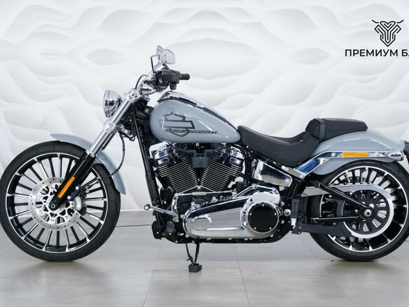 2025 Harley-Davidson Breakout, серый, 3199000 рублей - вид 1