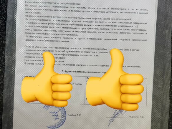 2024 Bison Hammer 200, серый, 150000 рублей - вид 5