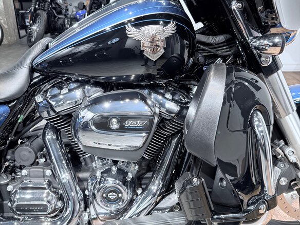 2018 Harley-Davidson Street Glide, синий, 1999000 рублей - вид 15