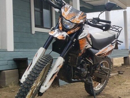 2020 Racer Panther, оранжевый, 105000 рублей, вид 4