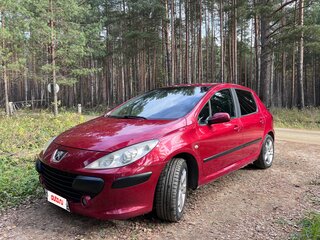 2006 Peugeot 307 I Рестайлинг, красный, 350000 рублей, вид 1