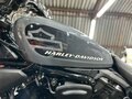 2023 Harley-Davidson Nightster, серый, 920000 рублей - вид 11