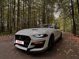 2018 Ford Mustang VI Рестайлинг, белый, 2200000 рублей, вид 1