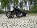 2019 Harley-Davidson Fat Boy, чёрный, 3500000 рублей - вид 2