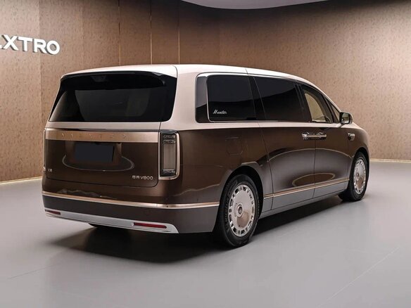 2026 Maextro V 800, коричневый, 24550000 рублей - вид 3