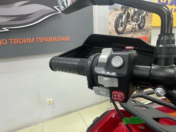 2026 Loncin XWolf 550, серый, 817000 рублей - вид 4