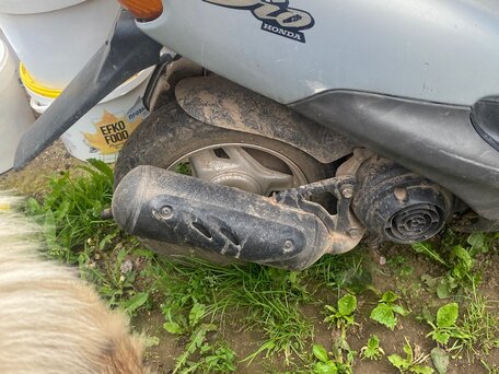 1997 Honda Dio, серебристый, 47000 рублей, вид 4