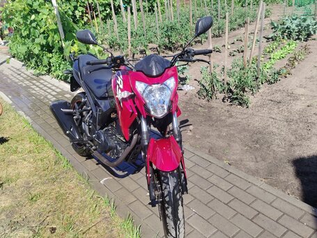 2017 Motobi Sport Special, красный, 80000 рублей, вид 3