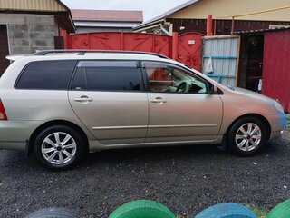 2001 Toyota Corolla Fielder IX (E120, E130), серый, 515000 рублей, вид 2