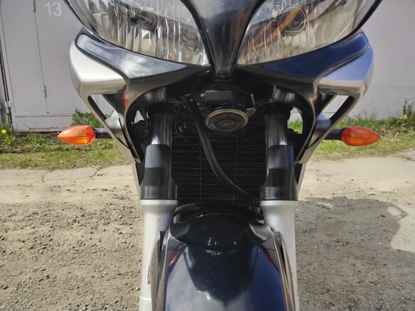 2003 Yamaha FZ6, серебристый, 385000 рублей - вид 21