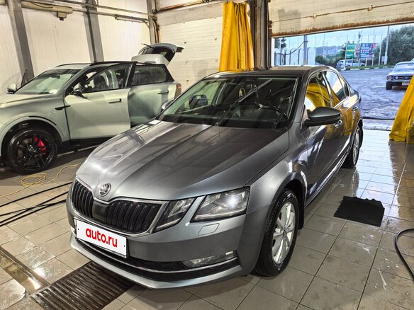2019 Skoda Octavia III (A7) Рестайлинг, серый - вид 7