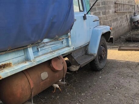 1993 ГАЗ 53, голубой, 265000 рублей, вид 3