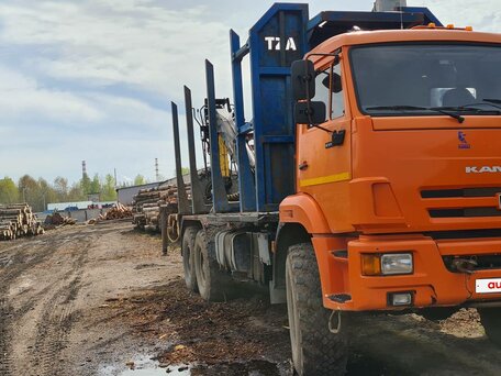 2018 КамАЗ 43118, оранжевый, 3300000 рублей, вид 2