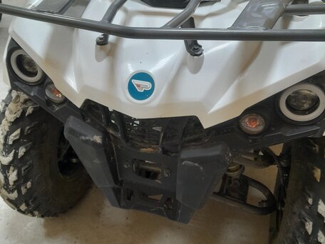 2022 Promax ATV 300, белый, 250000 рублей, вид 2