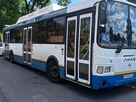 2013 ЛиАЗ 5293, белый, 650000 рублей, вид 1