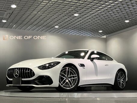 2024 Mercedes-Benz AMG GT 43 II, белый, 12600000 рублей, вид 1