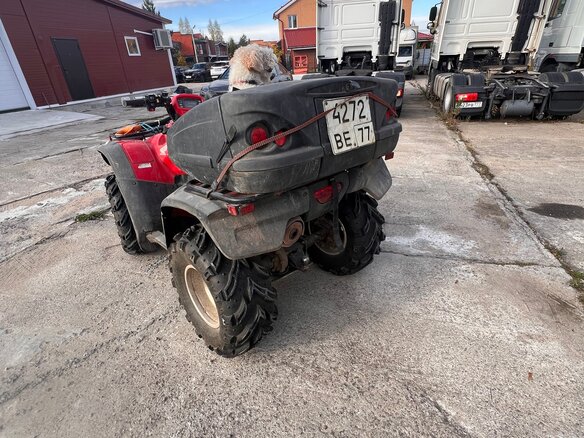 2008 Honda TRX 500 (Foreman), красный - вид 10