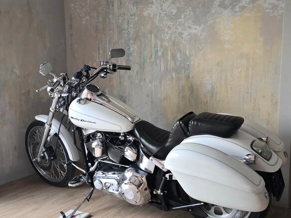 2004 Harley-Davidson Softail Deuce, белый, 990000 рублей - вид 13