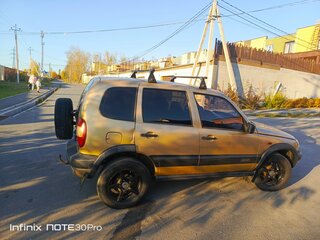 2004 Chevrolet Niva I, бежевый, 365000 рублей, вид 3