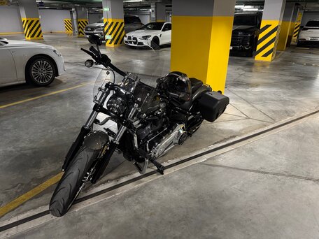 2019 Harley-Davidson Breakout, серый, 2350000 рублей, вид 2