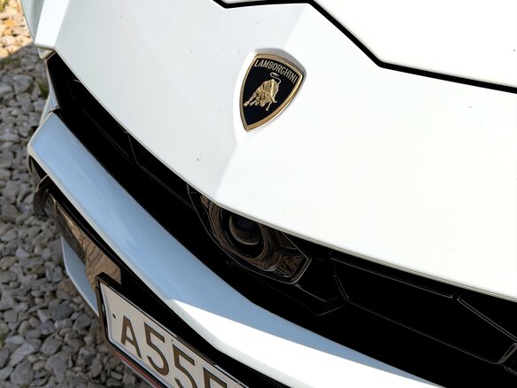 2019 Lamborghini Urus I, белый, 17900000 рублей - вид 9