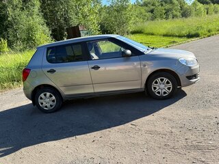 2010 Skoda Fabia II Рестайлинг, серый, 450000 рублей, вид 5